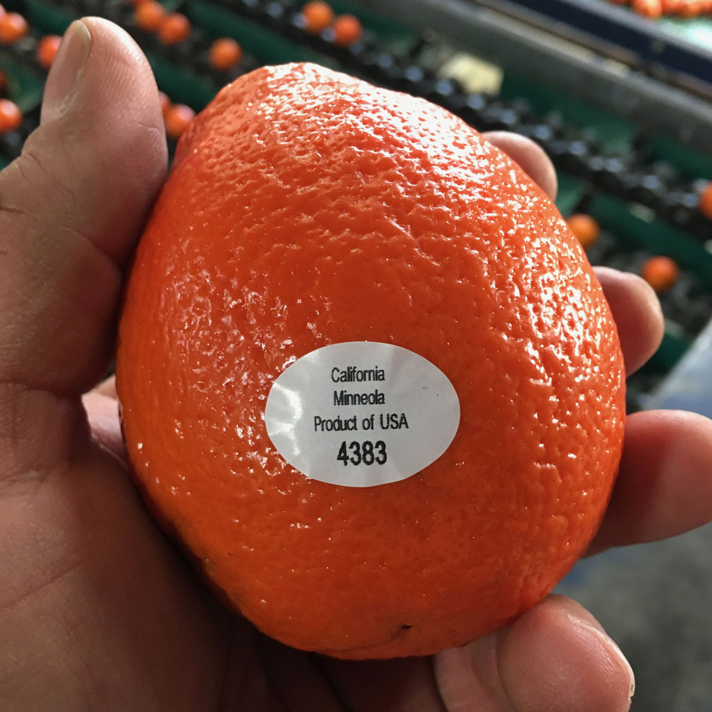 labelpac promo humble relationships 1