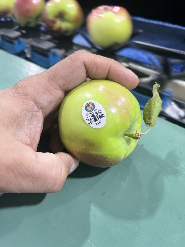 APPLE Print  Apply1 scaled