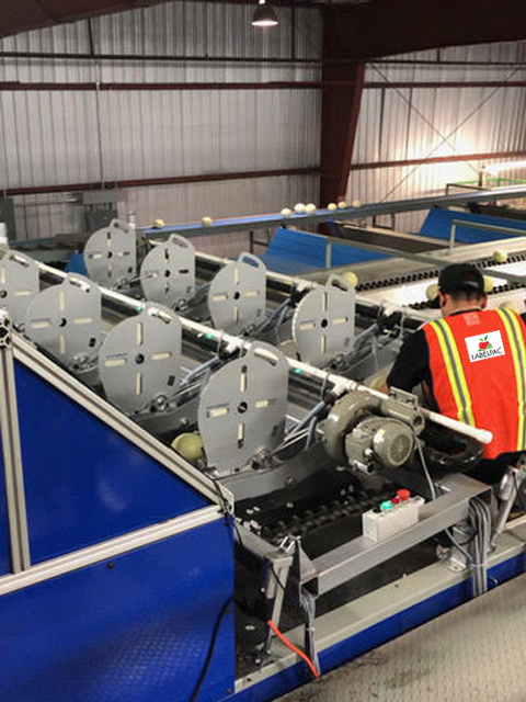 multi lane service tech pic 1