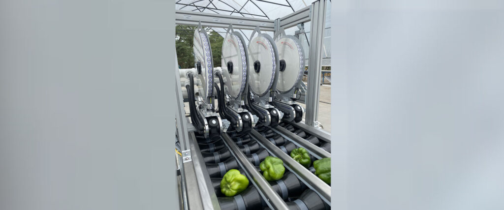 What Is a Bulk Labeling System 1