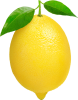 lemon